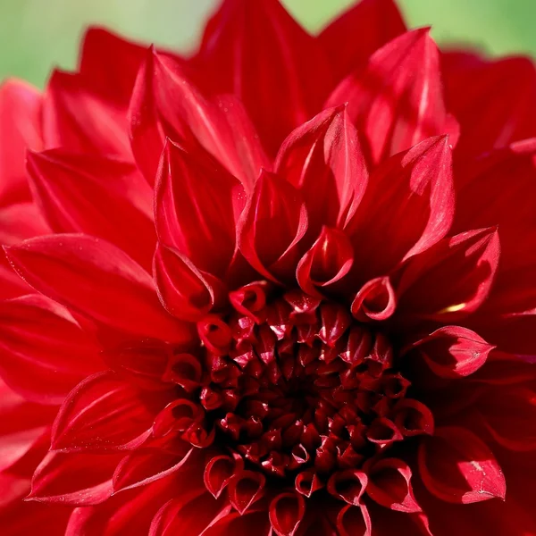 问鼎娱乐21点游戏